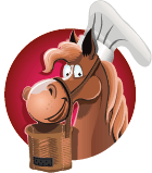 Footer Logo and link back to homepage